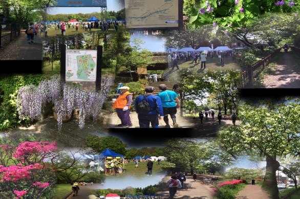 ハナミズキ20㎞