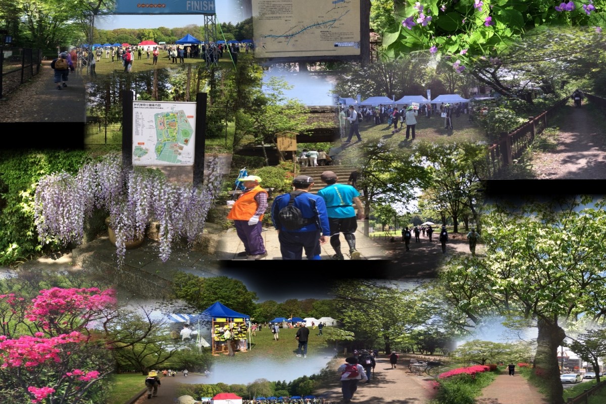 ハナミズキ20㎞