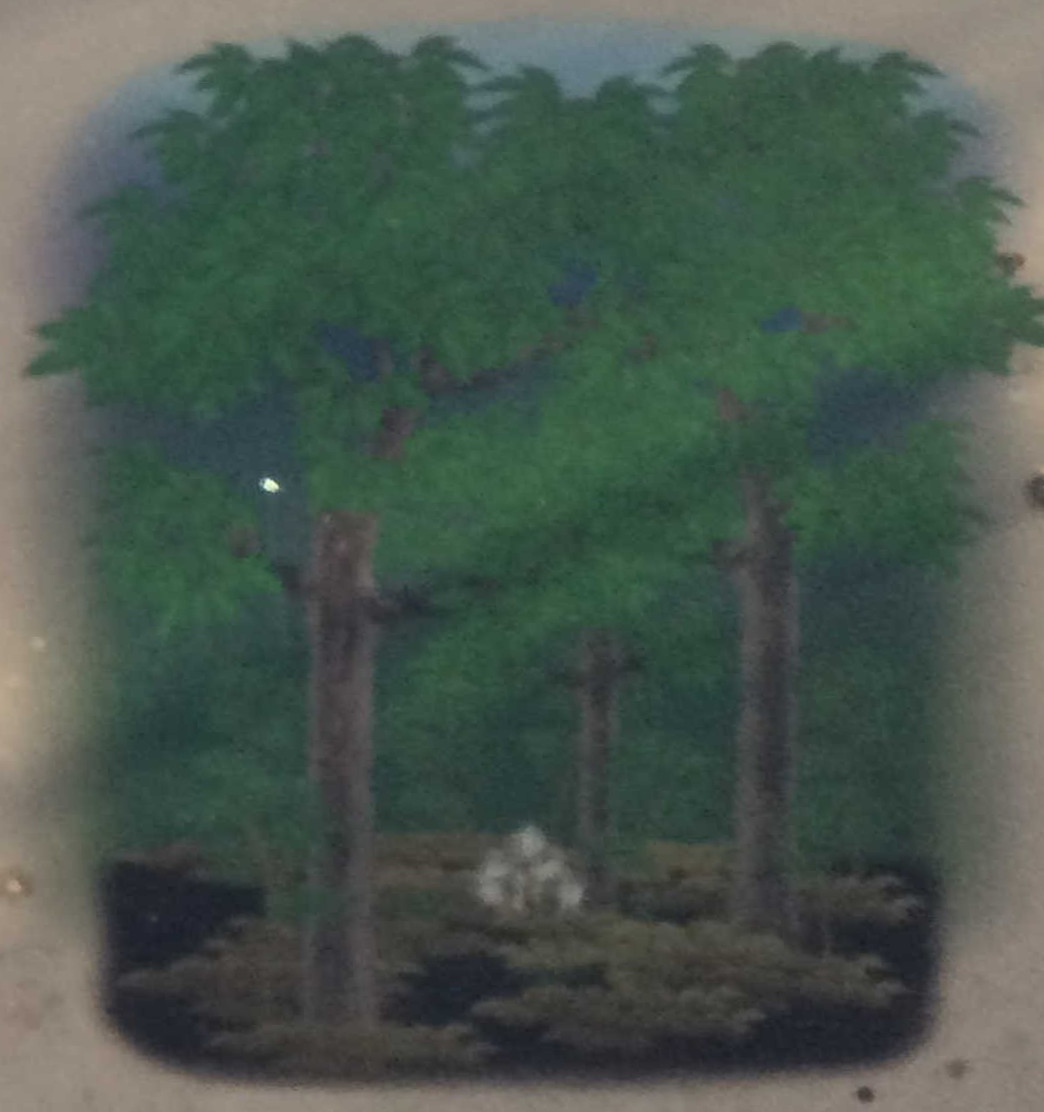 ギンリョウソウー