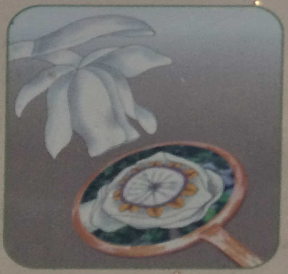 ギンリョウソウー