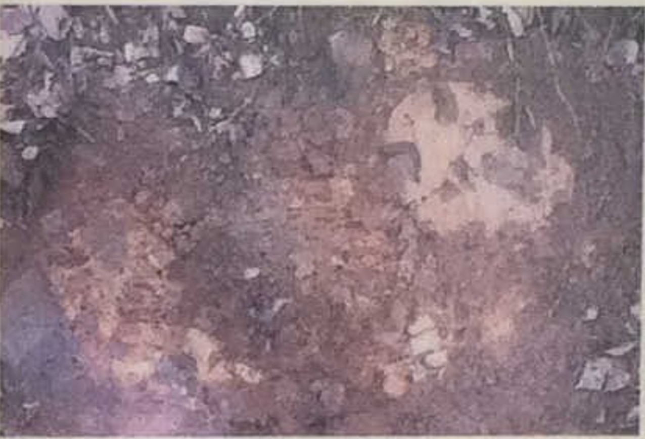 御殿(ごてん)峠(とう)礫層(げれきそう)