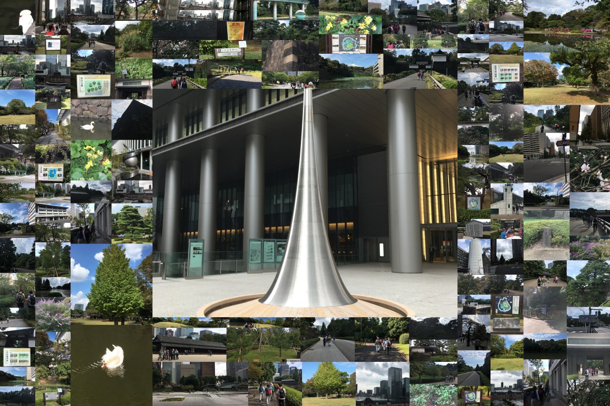 10月度ＪＷＡのウオーキング教室