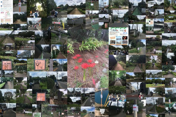 第11回川口ツーデーマーチ　9月23日日曜日　2日目安行ルート