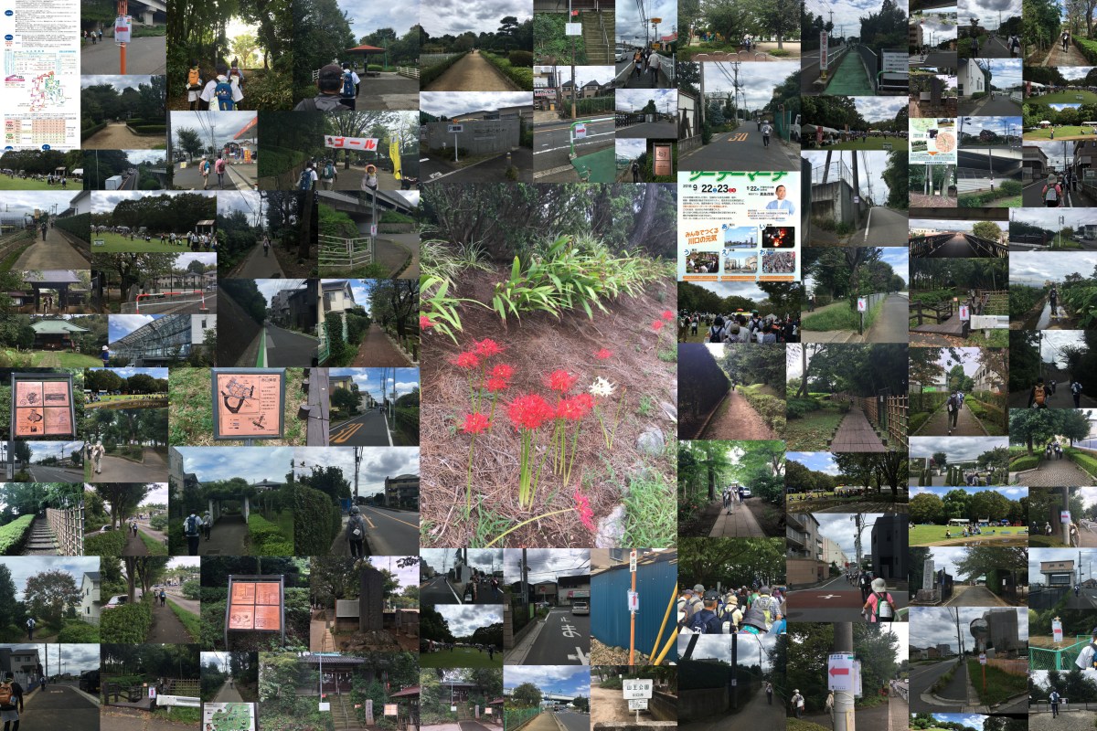 第11回川口ツーデーマーチ　9月23日日曜日　2日目安行ルート