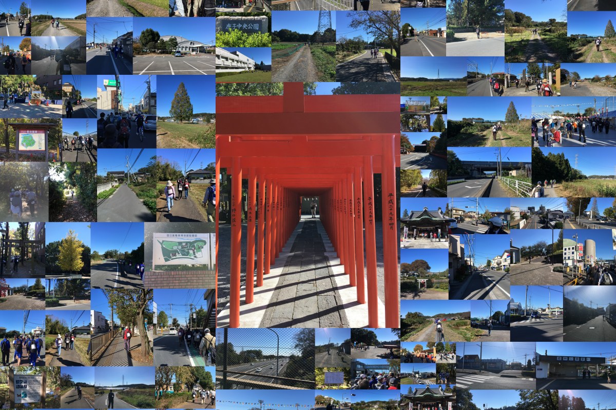 第41回日本スリーデーマーチ　1日目　11／2金曜日　和紙の里・武蔵嵐山ルート２０㎞