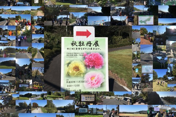 第41回日本スリーデーマーチ　2日目　11／3土曜日　吉見百穴・森林公園ルート２０㎞