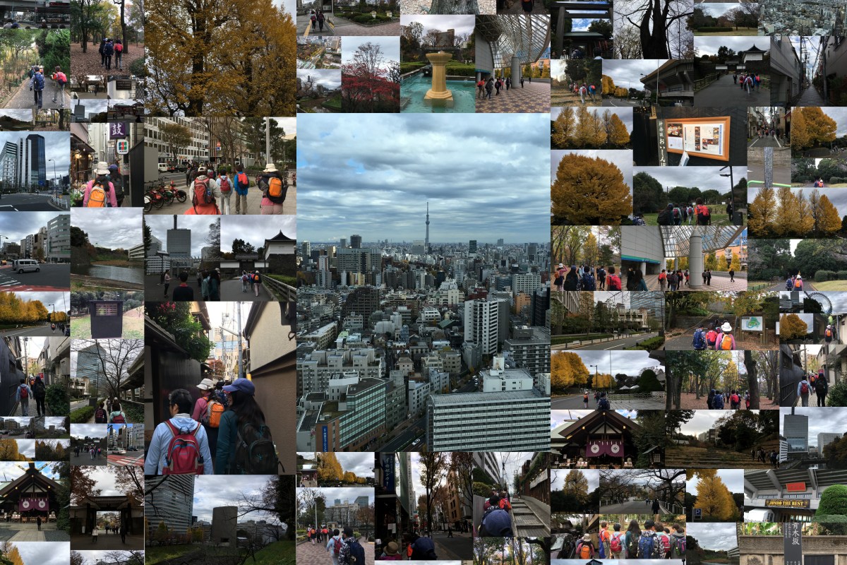 12月度ＪＷＡのウオーキング教室