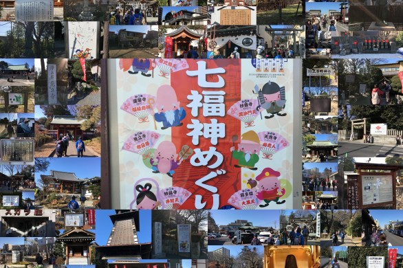 川越わくわくウオーキング教室　NPO法人埼玉ウオーキング協会　小江戸川越ウオークⅤ　・川越七福神　・仙波河岸史跡公園　・氷川神社