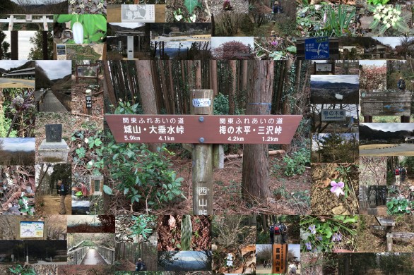 「南高尾山稜から高尾山へ」3月10日高尾・陣場ファンクラブハイキング