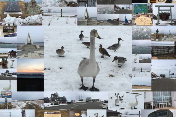 北海道ふっこう割　オホーツク海グルメ紀行　4日間　3月1１日（２日目）