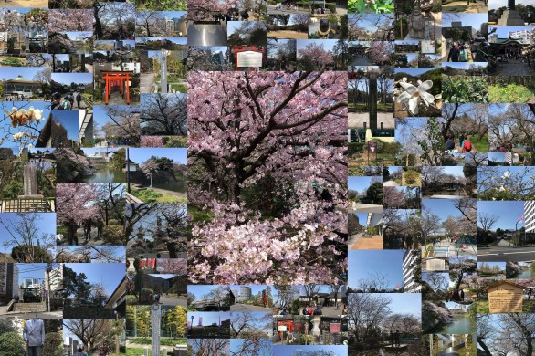 3月度ちよだ皇居周辺リフレッシュウオーク２０１９