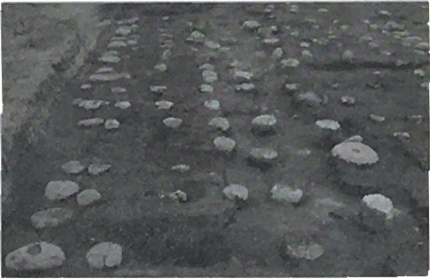 礎石出土状況