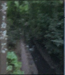 日本庭園にて配布しているパンフレットにも記載されています。