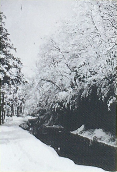 昭和10年代の等々力渓谷