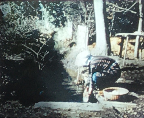 昭和28年(1953)頃の野火止用水