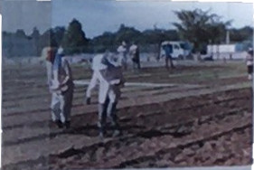 本多の森のお花畑