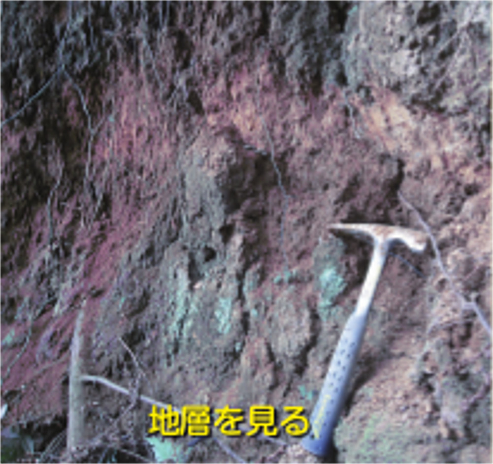 地層を見る