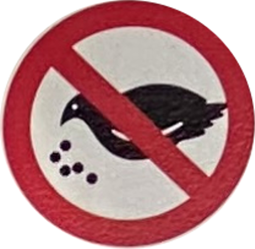 園内で野生の動物やハトにえさを与えることはやめましょう