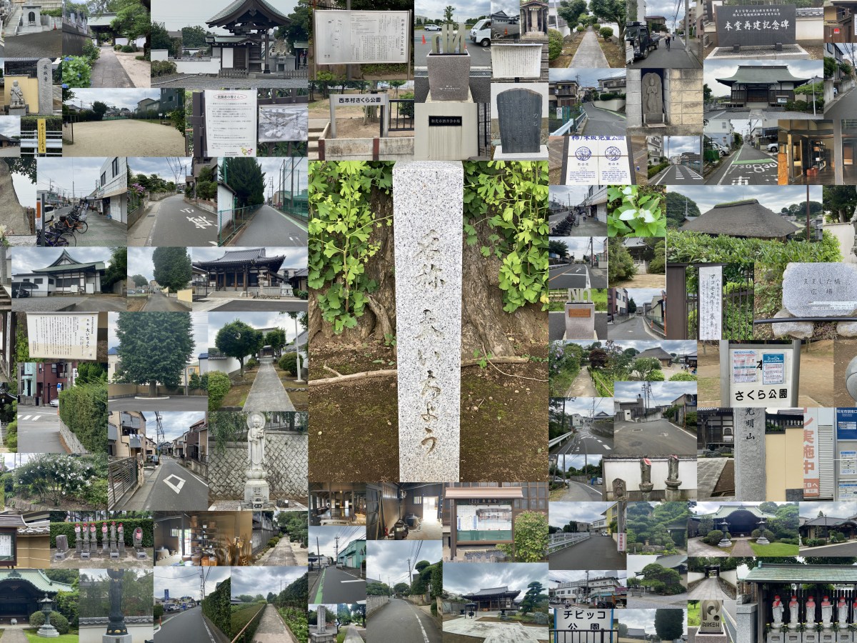 和光市駅北口（スタート）→新倉ふるさと民家園→妙典寺→西本村ふれあいの森（西本村桜公園）→金泉寺→満願寺→壹鑑寺→長照寺→東林寺→和光市北口（ゴール）