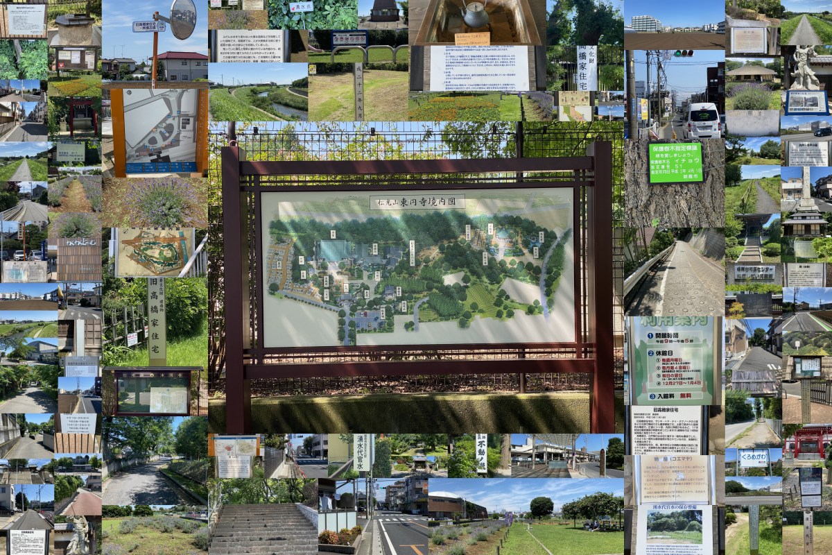 きらり健康づくり 朝霞の散策路（城山コース）