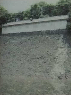 富士見多聞(Fujimitamon)