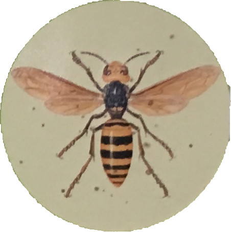 オオスズメバチ