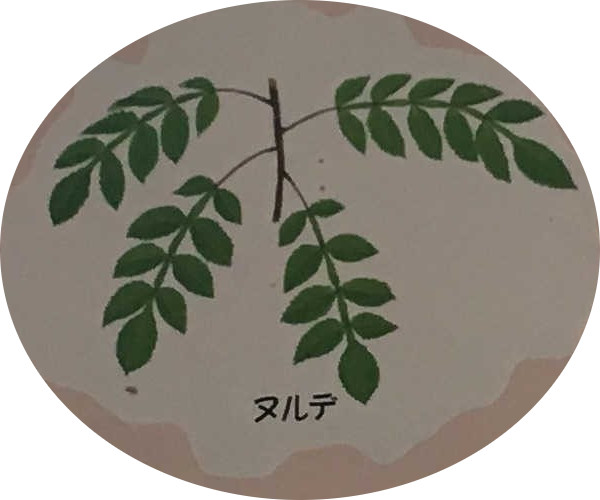 ヌルデ
