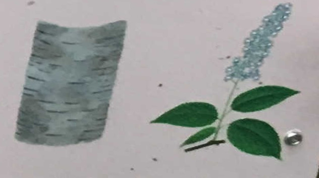 ウワミズザクラ