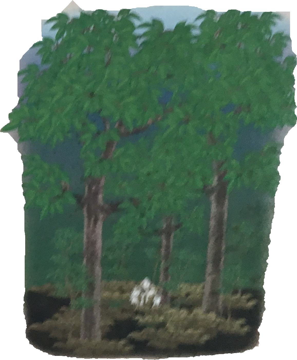 日陰を好む花―キンリョウソウー