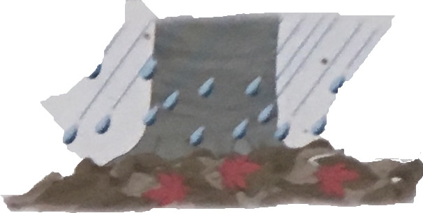 落ち葉が雨水を受けとめてくれるので、雨水は一気に流れず、土の中にしみこみます。