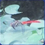 リスアカネ(オス)