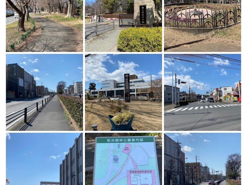 中央通り（サブーテ）前（スタート）→北口通り（新井理容店）前交差点→清水通り（ENEOS 和光新倉SS（コスモ）前）→清水通り（(株) ホンダ・リサーチ・インスティチュート・ジャパン）前→清水通り（本町小学校前交差点）→国道２５４　和光市役所入口交差点→桃手通り（おふろの王様 和光店）前→和光樹林公園案内図（埼玉県立和光樹林公園入口）→花壇（埼玉県立和光樹林公園）→県営和光樹林公園案内図（埼玉県立和光樹林公園）→花時計（埼玉県立和光樹林公園）→芝生広場（埼玉県立和光樹林公園）→埼玉県営和光樹林公園ジョギングコースと子供向けの遊び場→三角花壇→和光樹林公園BBQ広場バーベキュー→大泉中央公園 陽だまりの広場入口→陸上自衛隊 朝霞駐屯地→新座緑道→埼玉県新座防災基地→埼玉県警察 朝霞警察署→株式会社フタバスポーツ 朝霞本店→公園通り（朝霞中央公園野球場）→児童遊園(朝霞中央公園内)→朝霞市役所駐車場（花の池テラス）→公園通り（朝霞市役所前）（ゴール）